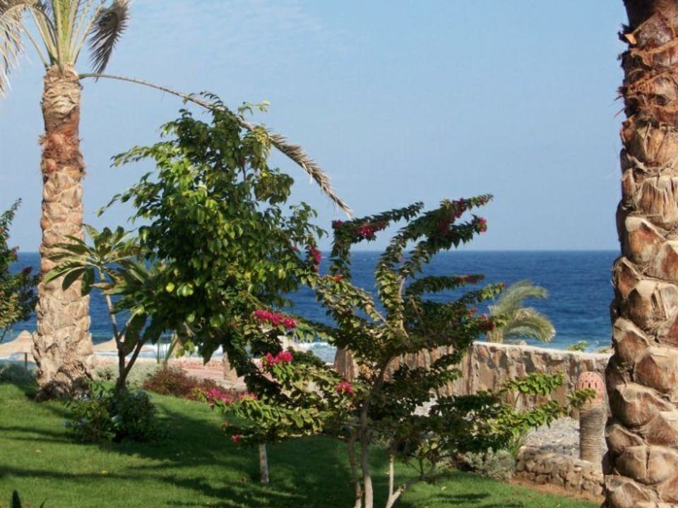 Blick von der Terrasse aus Three Corners Sea Beach Resort