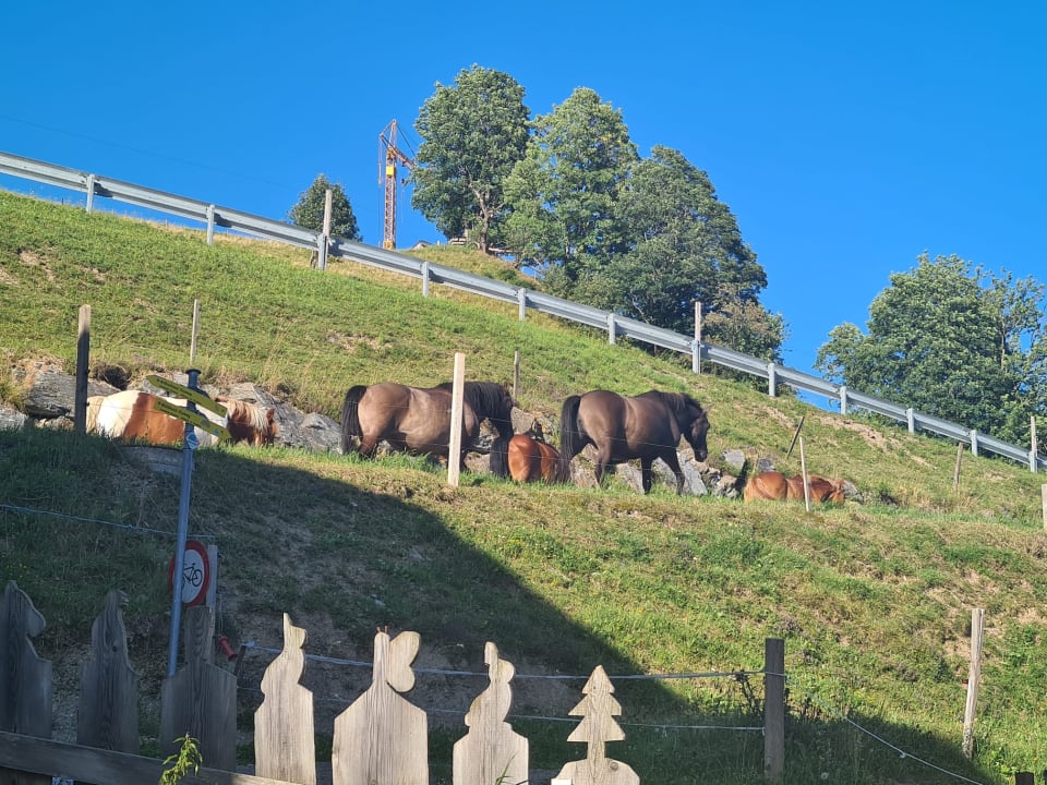 Sonstiges Kinderbauernhof Kniegut
