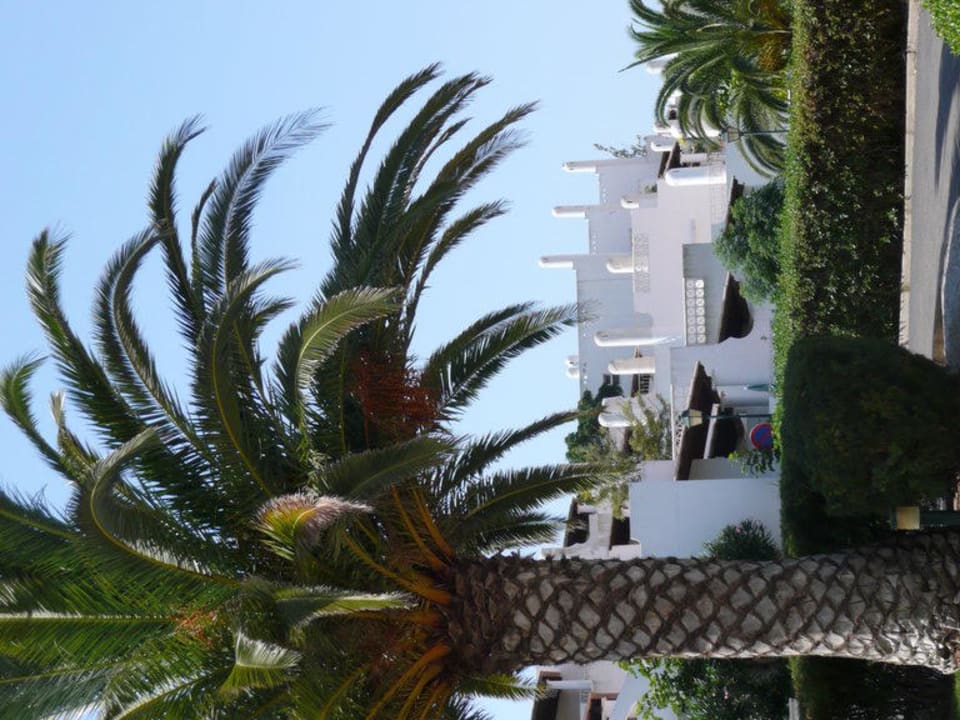 Ausblick vom Pool Hotel Vila Gaivota