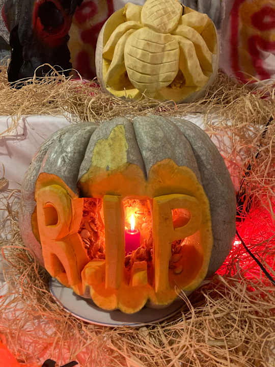 Gartenanlage Commodore Elite Suites & Spa - Adults only