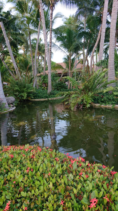 Gartenanlage Grand Palladium Select Bávaro Resort & Spa