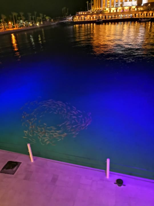 Pool Pickalbatros Citadel Resort