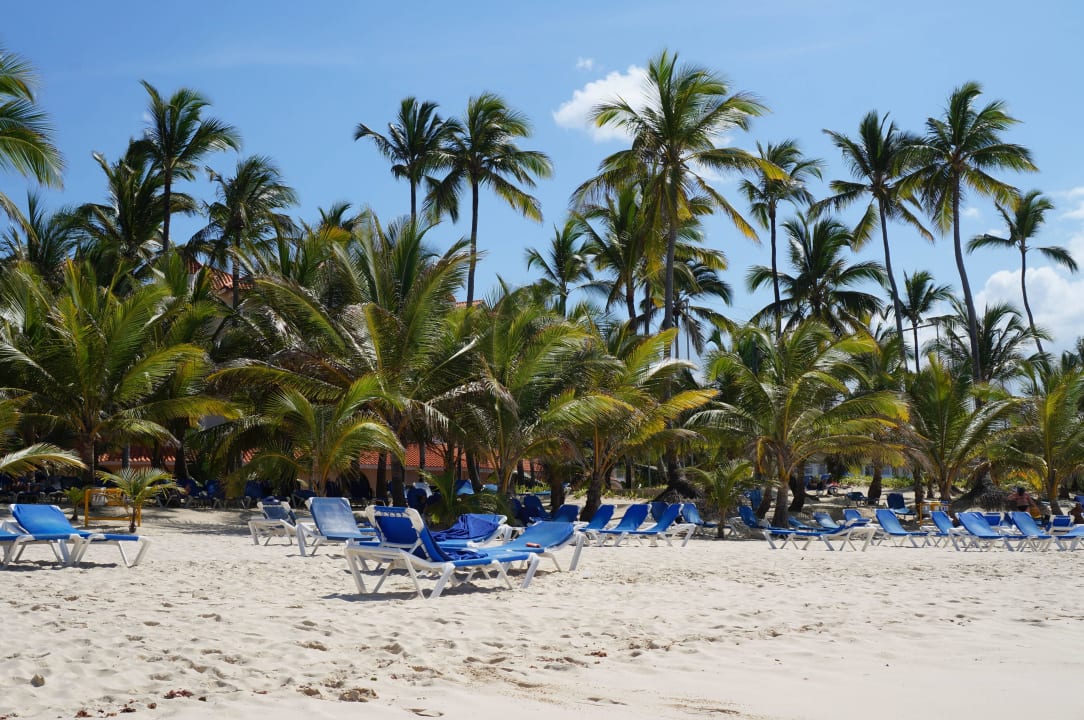 Bavaro Royalton Splash Punta Cana