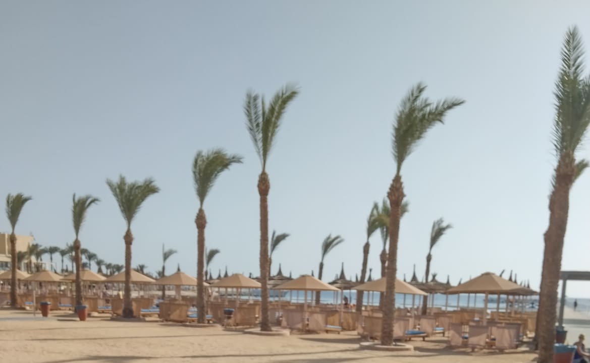 Strand Pickalbatros Palace Resort