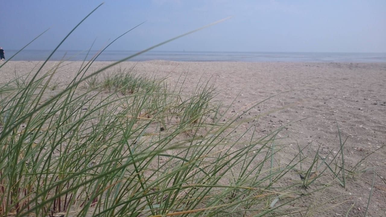 Strand  Upstalsboom Hotel am Strand