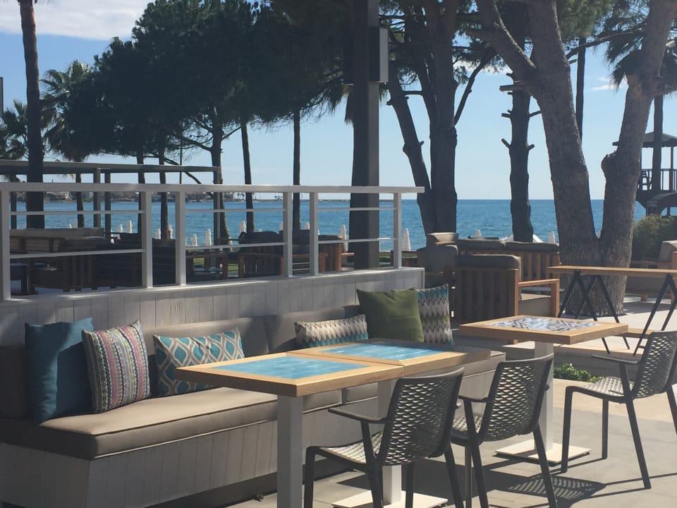 Gastro Acanthus Cennet Barut Collection