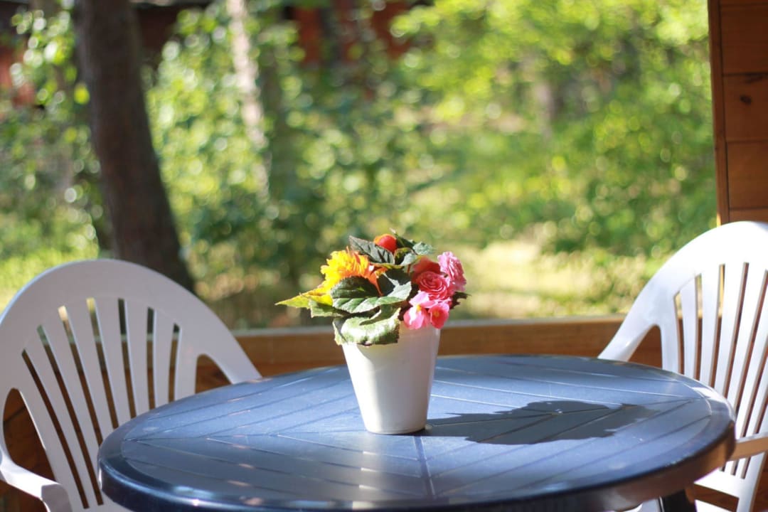 Domki standard plus Ośrodek Portus