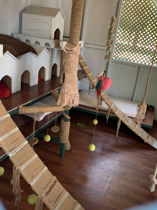 Gartenanlage Hotel Miracle Resort