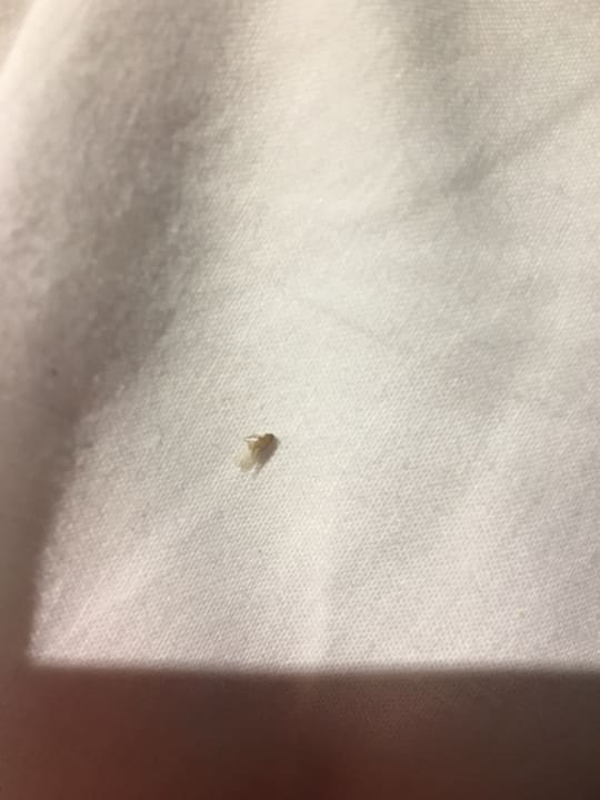 Zimmer iHotel Sunny Beach