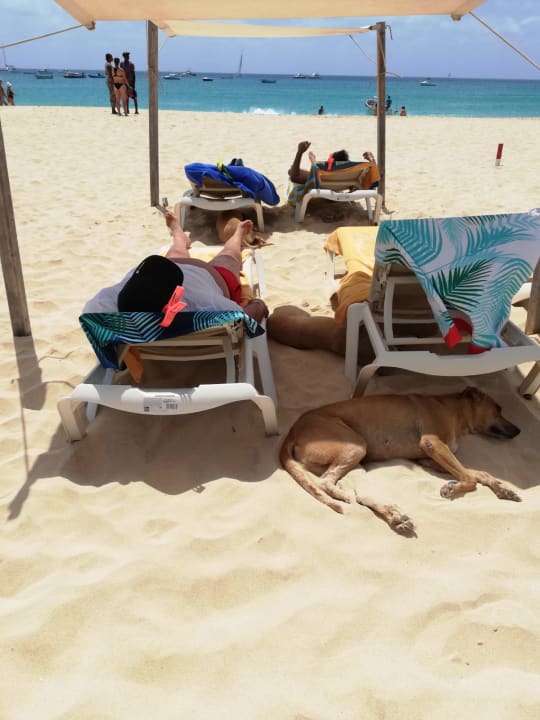 Strand Oasis Salinas Sea