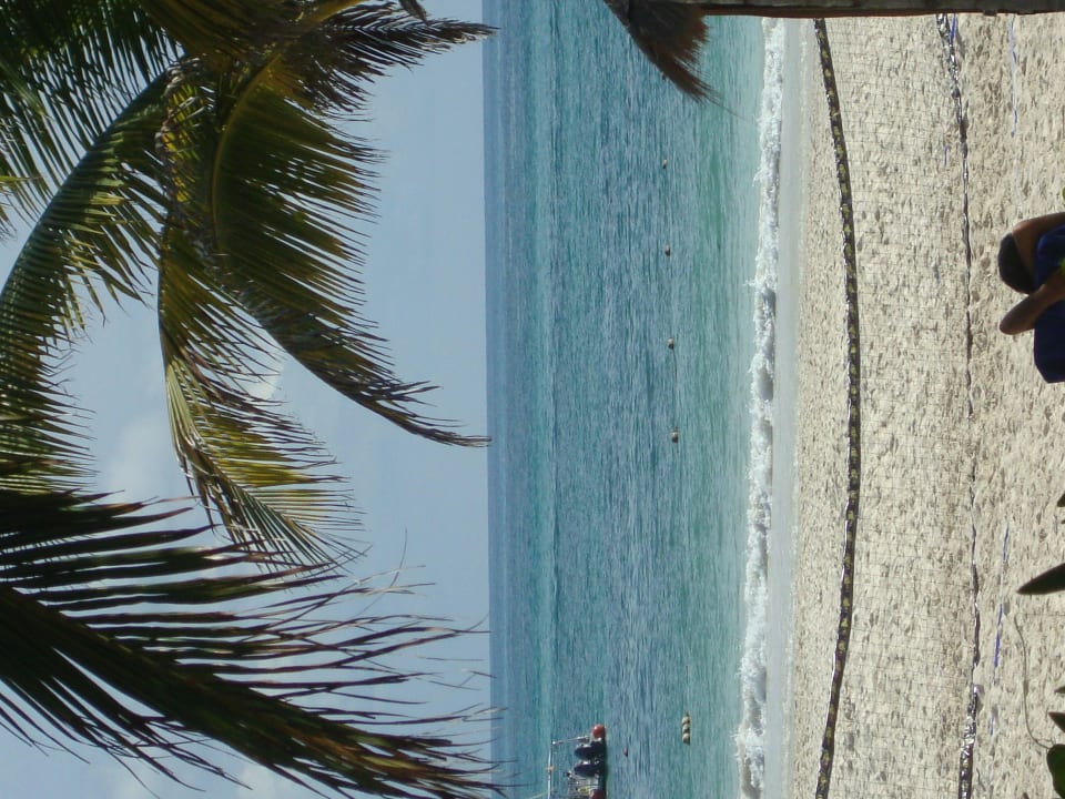 Hotel Catalonia Playa Maroma Catalonia Playa Maroma