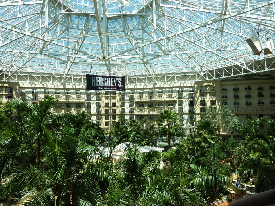 Ausblick in den überdachten Innenhof Hotel Gaylord Palms Resort and Spa
