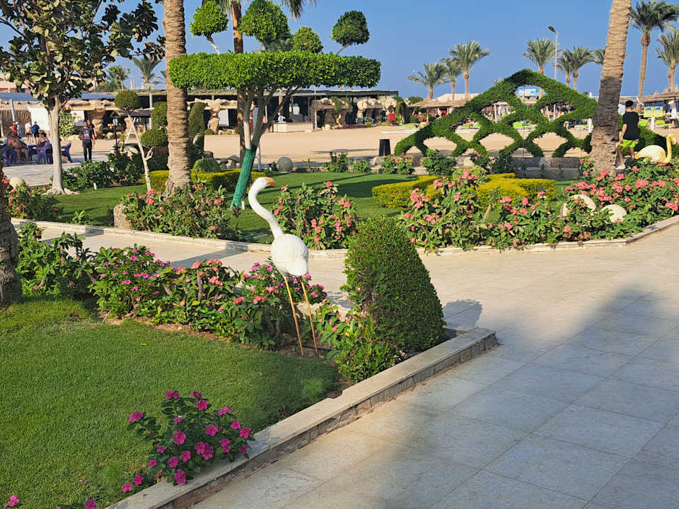 Gartenanlage Seagull Beach Resort
