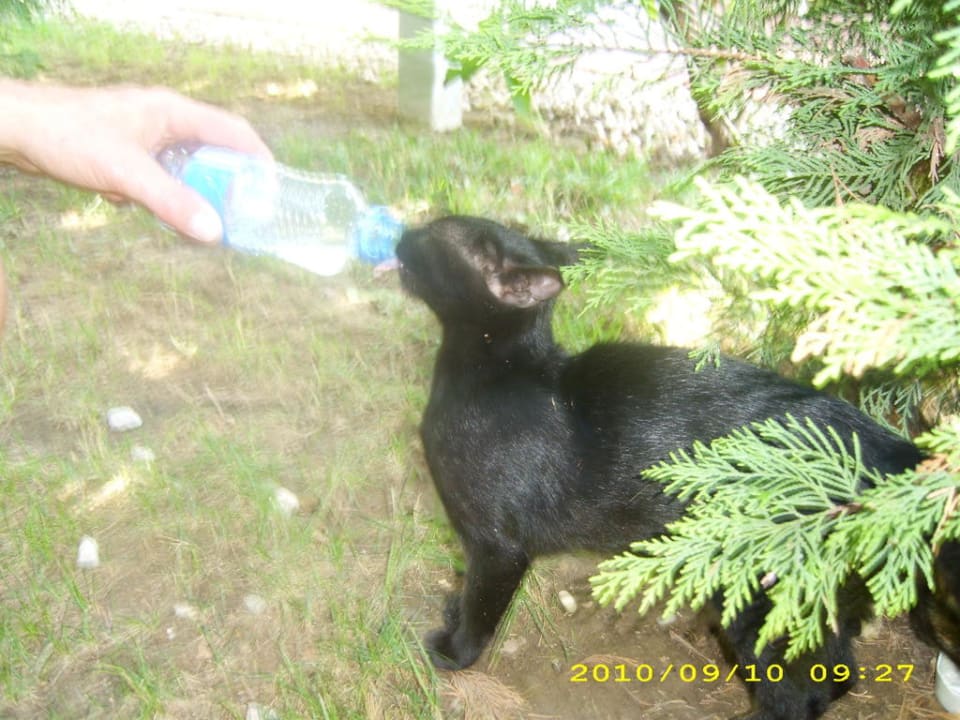 Ich habe Durst Saturn Palace Resort Hotel