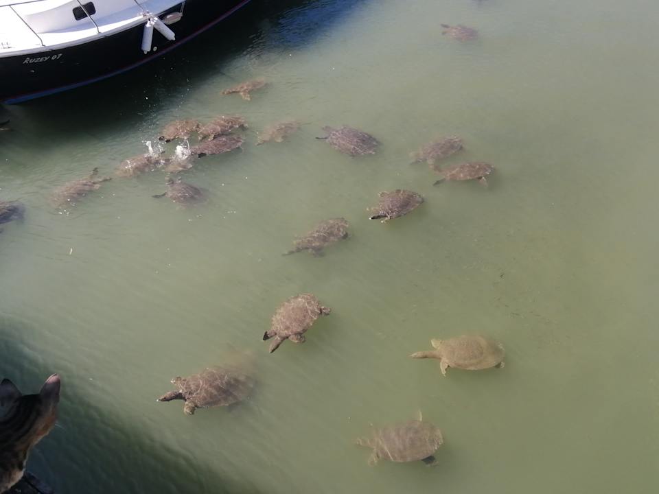 Strand Side Story Resort & Spa