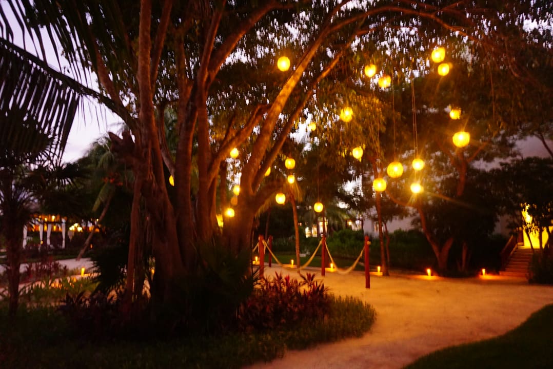 Gartenanlage Akumal Bay Beach & Wellness Resort