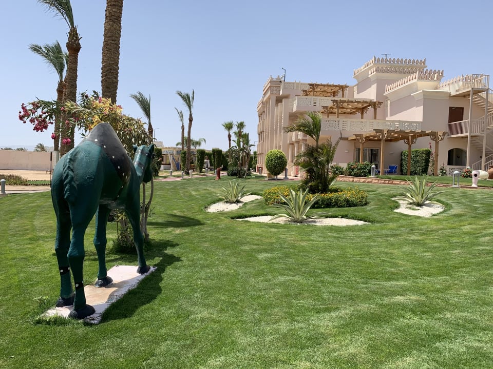Gartenanlage Pickalbatros Palace Resort