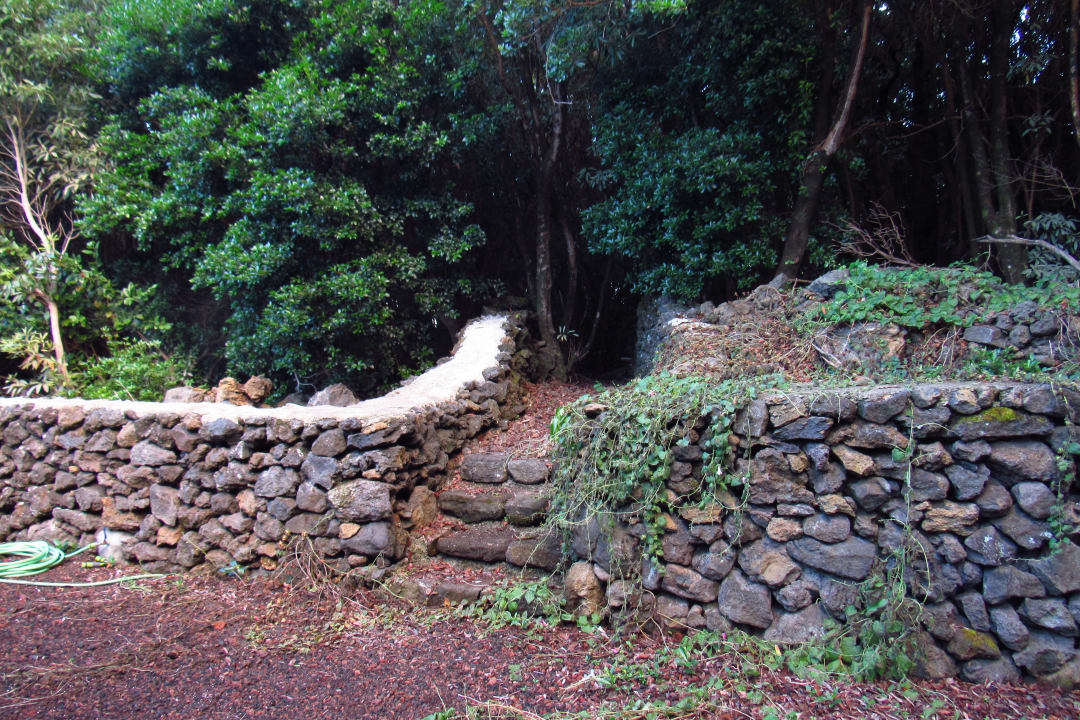 Gartenanlage Pico Dreams - Sportfish