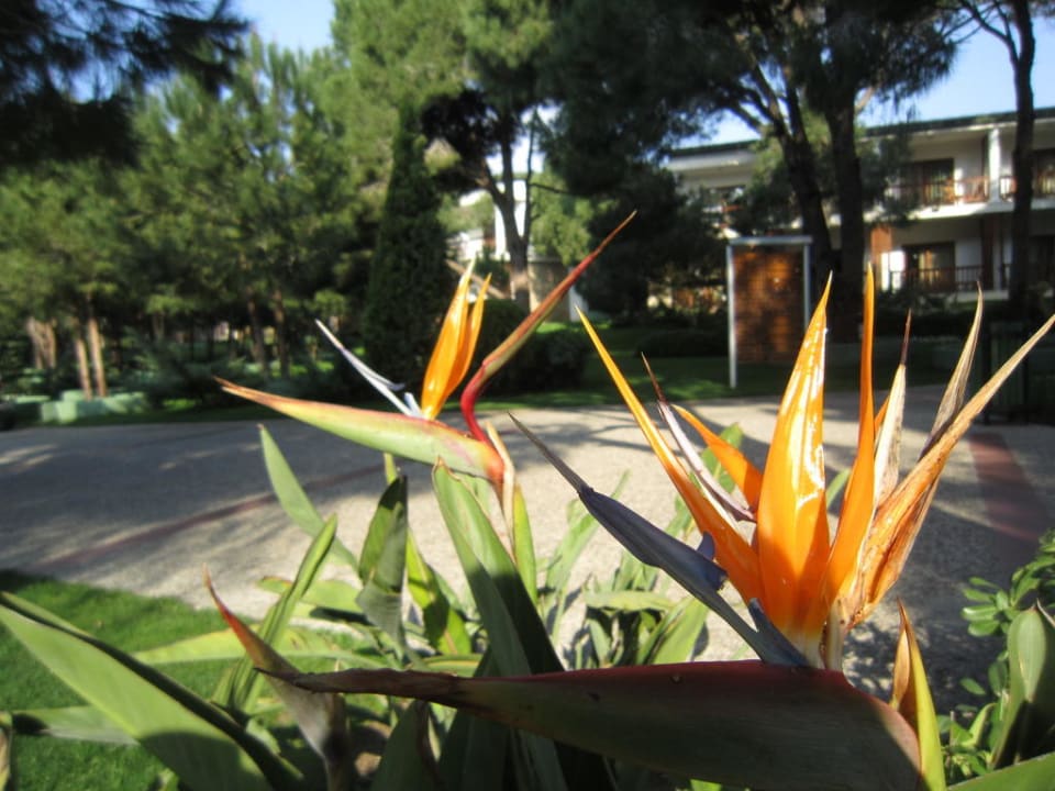 Garten Voyage Belek Golf & Spa