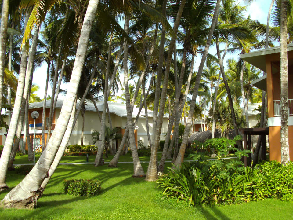 Gartenanlage Hotel Grand Palladium Palace Resort, Spa & Casino