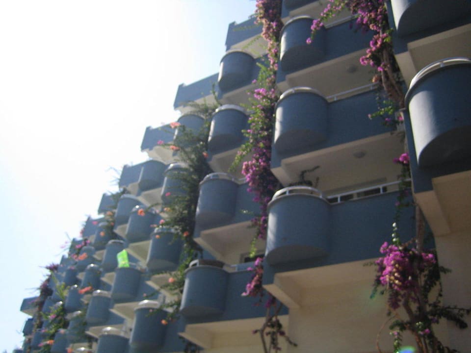 Block B Lonicera Resort & Spa Hotel