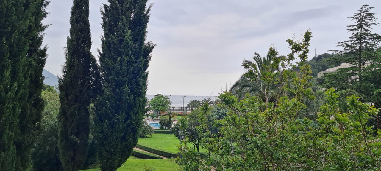 Gartenanlage Iberostar Waves Bellevue