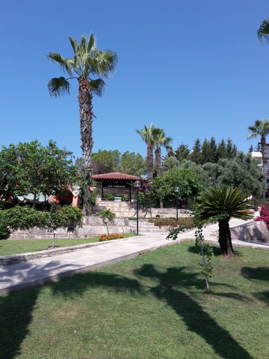 Eisbude Arum Barut Collection