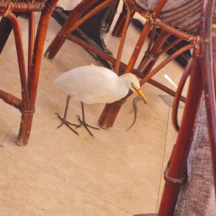 Sonstiges Brayka Bay Resort