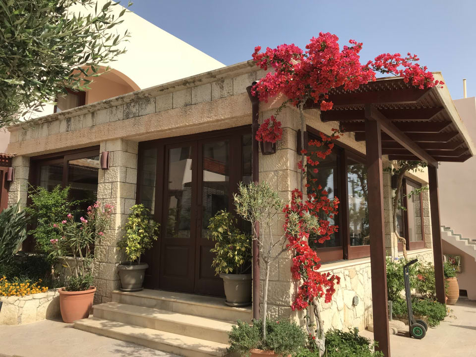 Gastro Cactus Beach