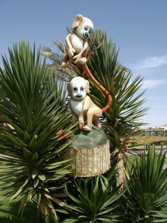 Affenbande Pickalbatros Dana Beach Resort - Hurghada