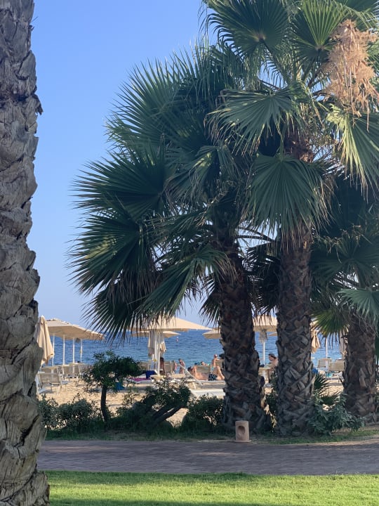 Gartenanlage Hotel Club Saraceno