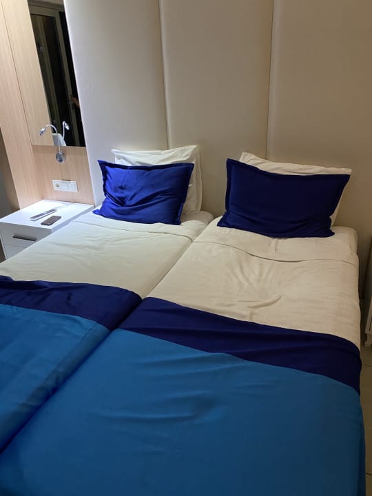 Zimmer AQI Pegasos World