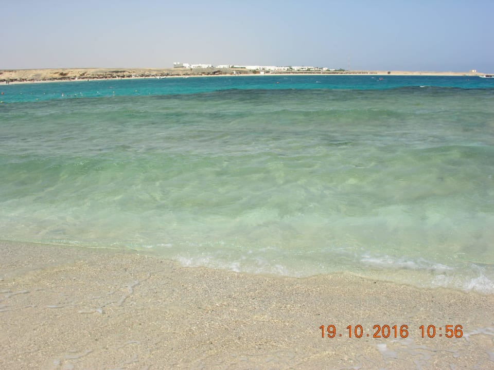 Zatoka Abu Dabab Malikia Resort Abu Dabbab