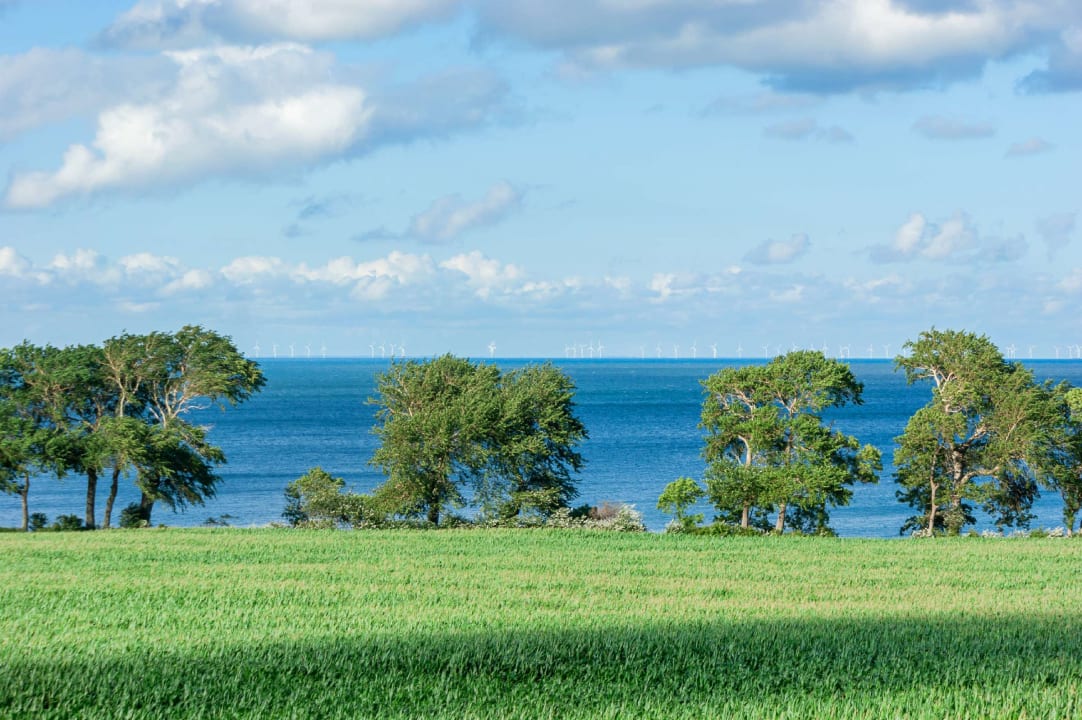 Ausblick Ferienbauernhof Liesenberg mit Meerblick