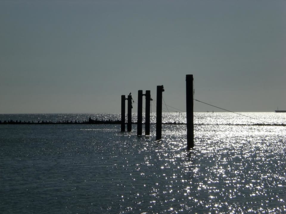 Schöne Aussicht Residenz Kormoran