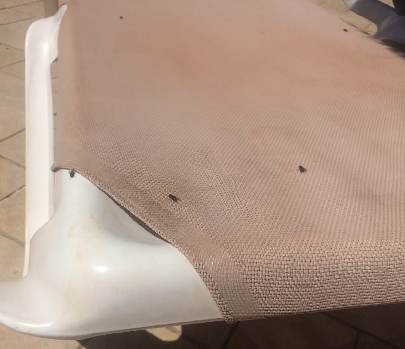 Pool Elba Carlota Beach & Golf Resort