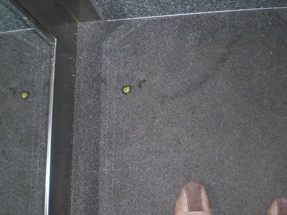 Dreck auf Teppich Hotel Grand Emin