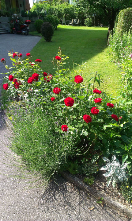 Einfahrt Strandpension Liane