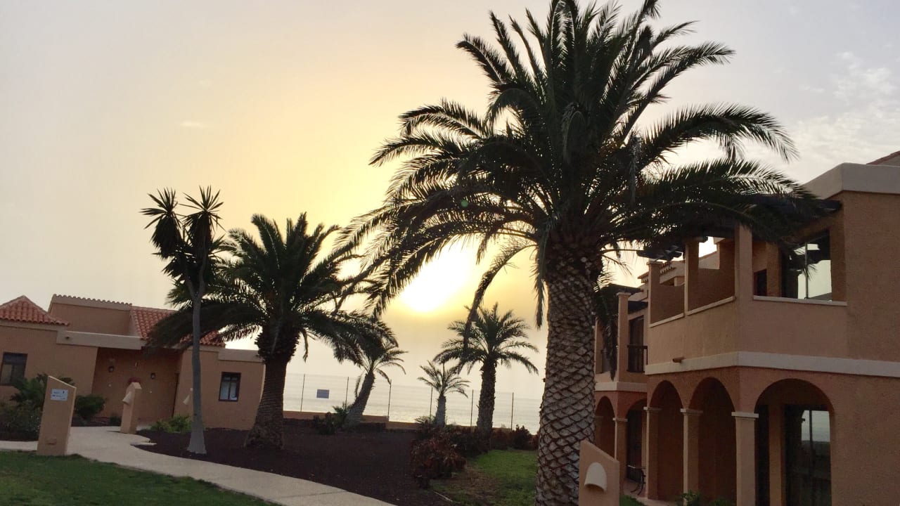 Gartenanlage Bakour Fuerteventura La Pared