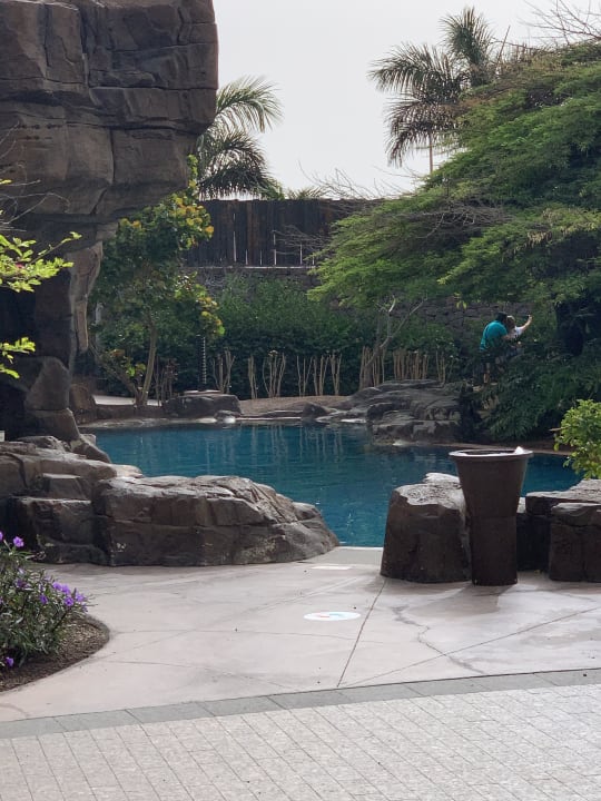 Pool Lopesan Baobab Resort