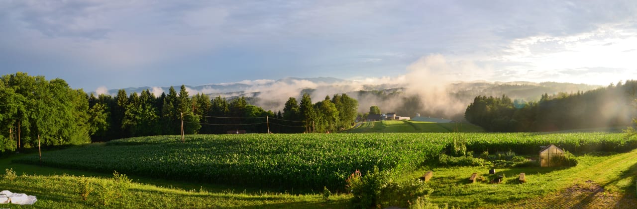 Ausblick Ferienwohnungen Ofenmacherhof
