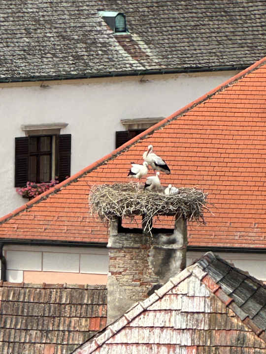 Sonstiges Pension Julia