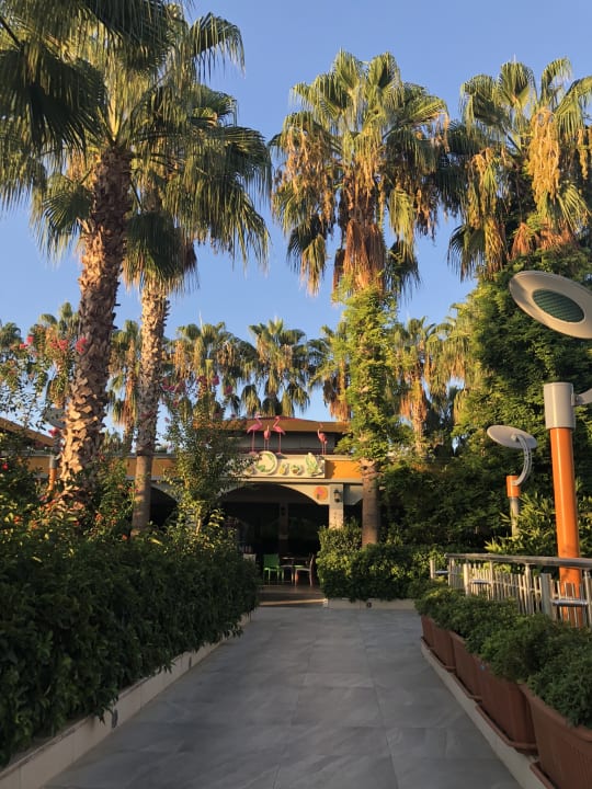 Gartenanlage Hane Family Resort