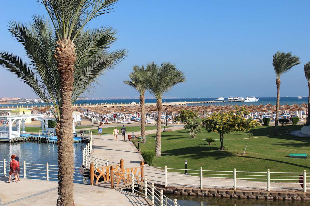 Blick aus dem Zimmer  Pickalbatros Dana Beach Resort - Hurghada