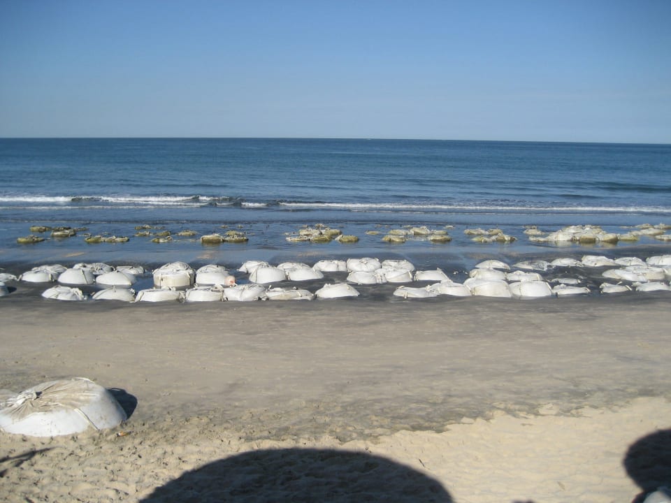 Baden zwischen den Säcken unmöglich Hotel Senegambia Beach