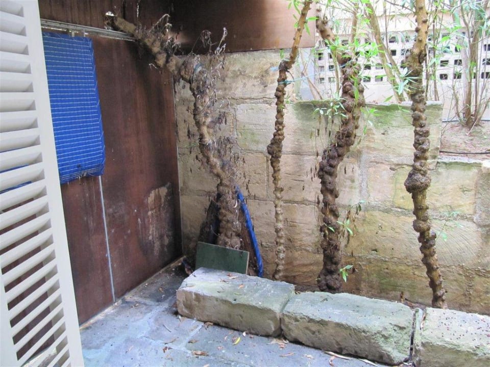 Ausblick Zimmer 124 Aparthotel Houm Plaza Son Rigo