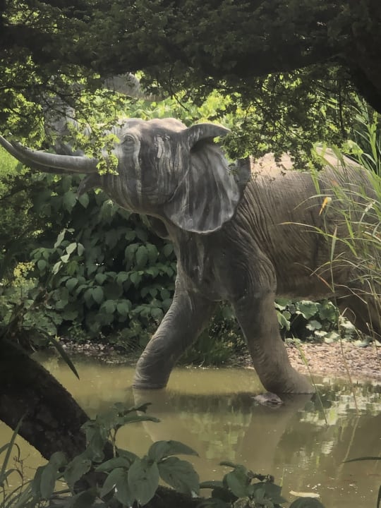 Sonstiges Hotel Restaurant Rebstock Durbach