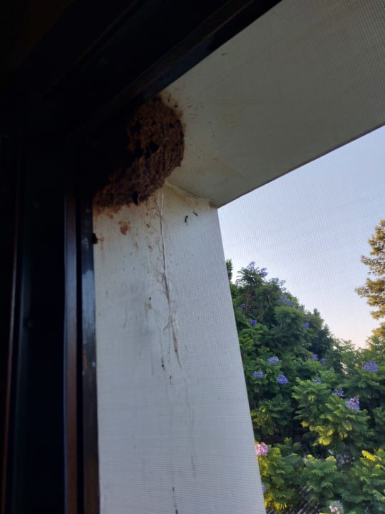 Zimmer Latanya Park Resort