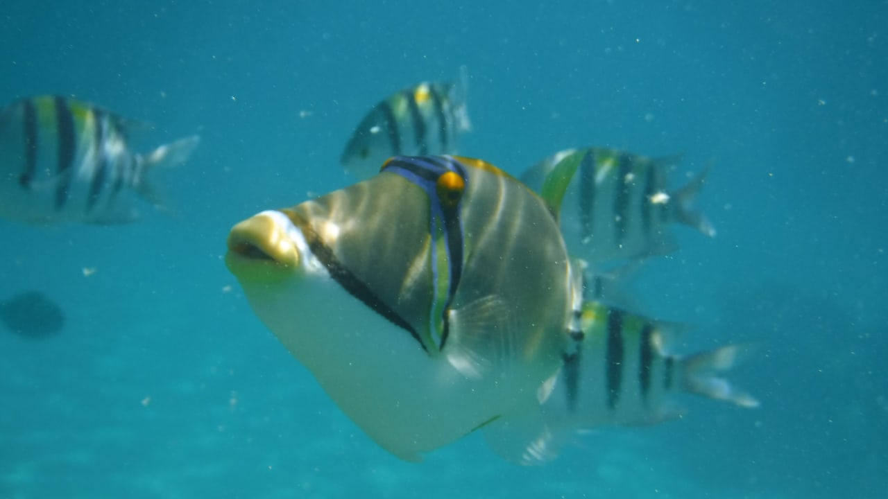 Sport & Freizeit Makadi Spa - Adults only