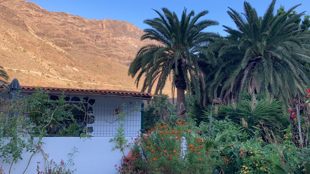 Gartenanlage Bio Finca - Las Tenerías